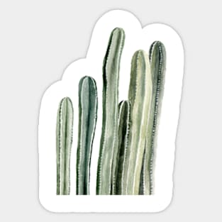 Tall Cacti Sticker